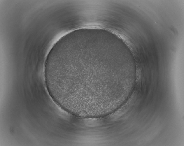 X0000111371470200908071204