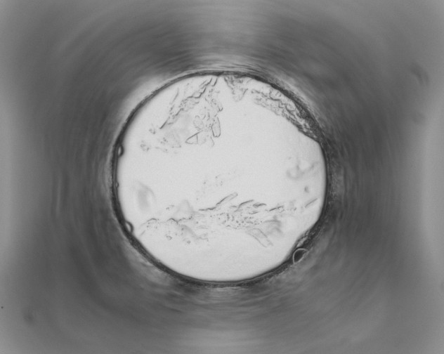 X0000111371471200908071204