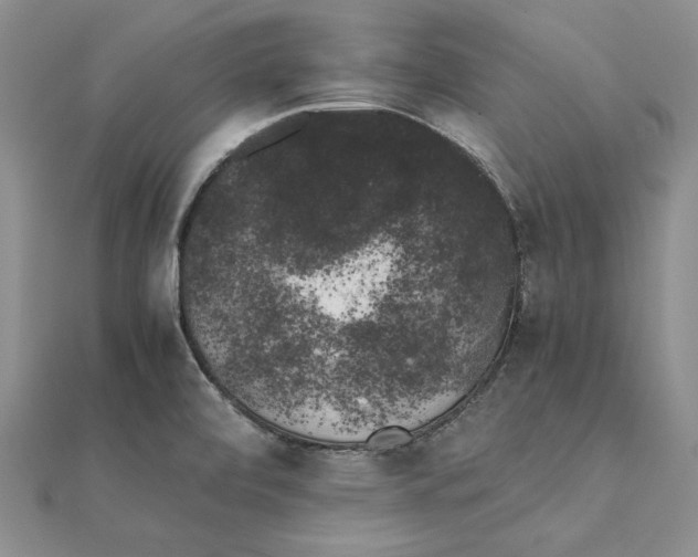 X0000111371472200908071204