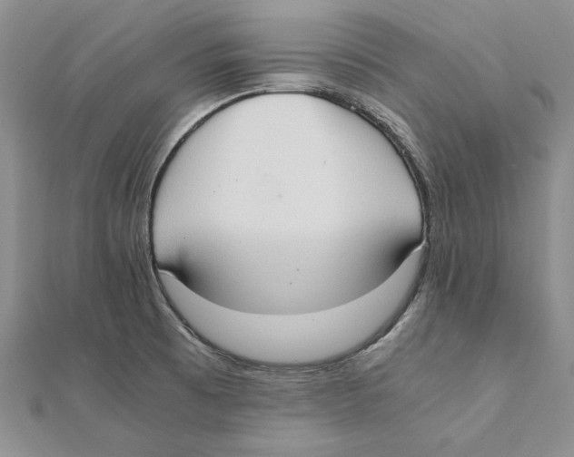 X0000111371473200908071203