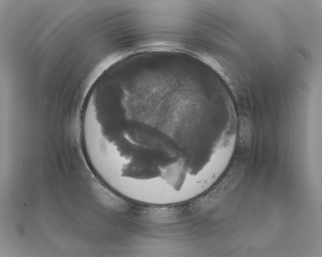 X0000111371474200908071203