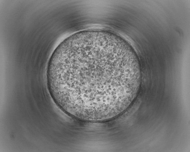 X0000111371475200908071203