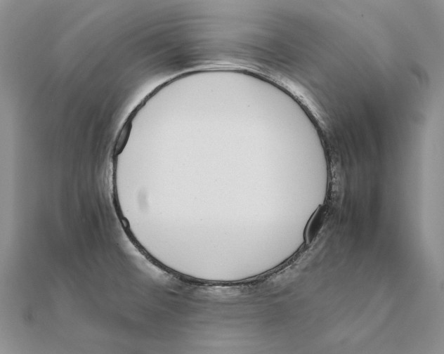 X0000111371476200908071203