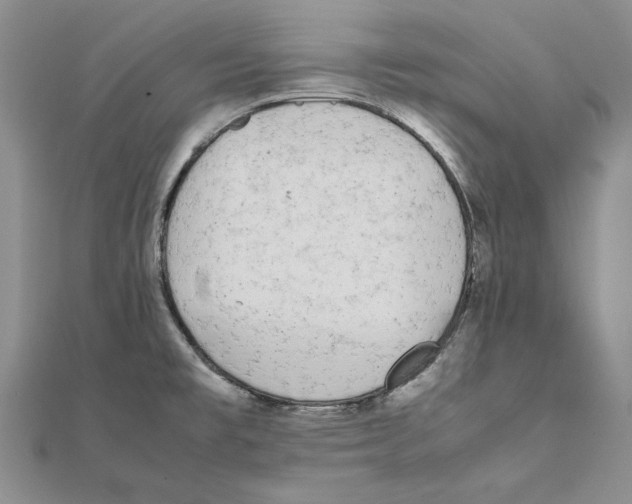X0000111371477200908071203