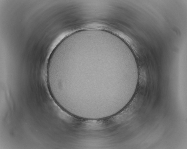 X0000111371478200908071203