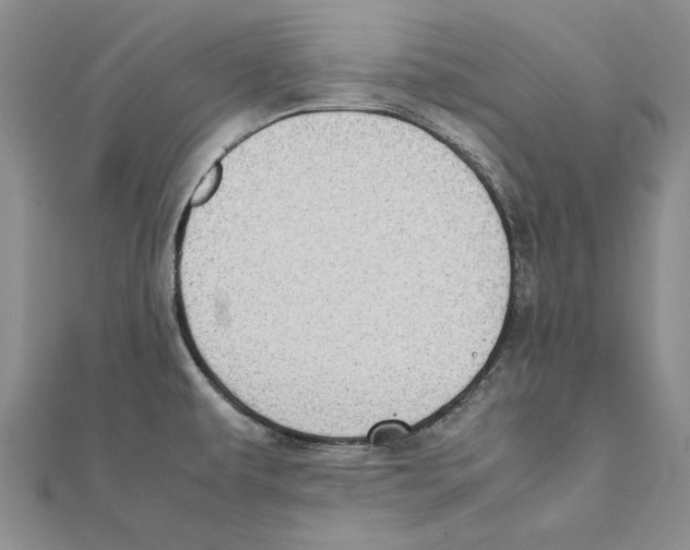 X0000111371479200908071203
