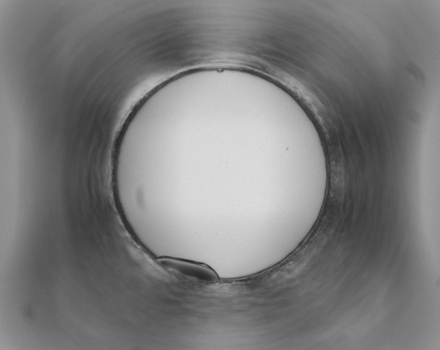 X0000111371480200908071203