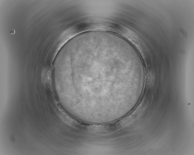 X0000111371481200908071203