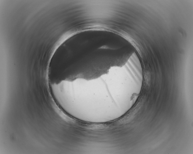 X0000111371482200908071203