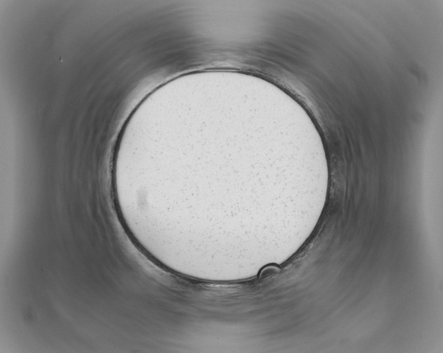 X0000111371483200908071203