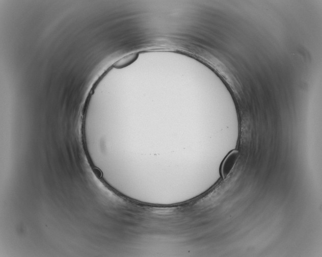 X0000111371484200908071203
