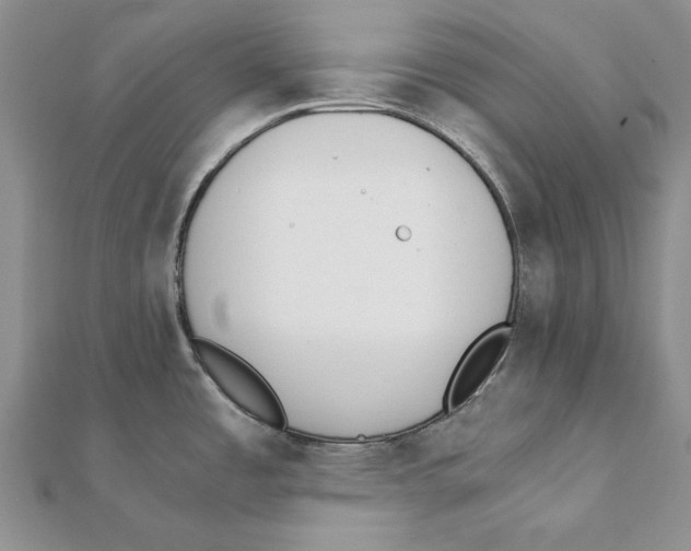 X0000111371485200908071203