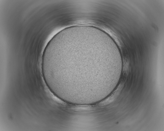 X0000111371486200908071203