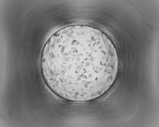 X0000111371487200908071203