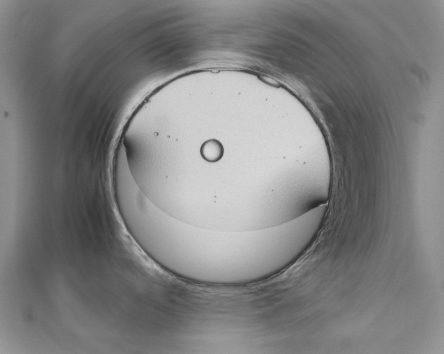 X0000111371488200908071203