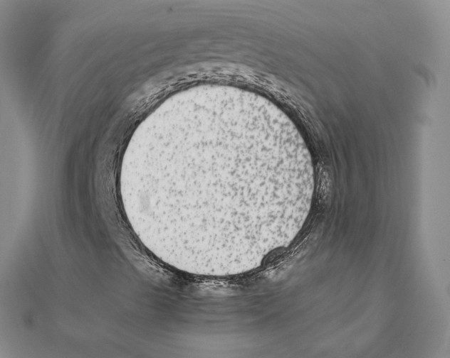X0000111371489200908071203