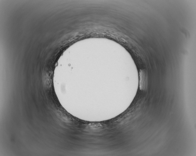 X0000111371491200908071203