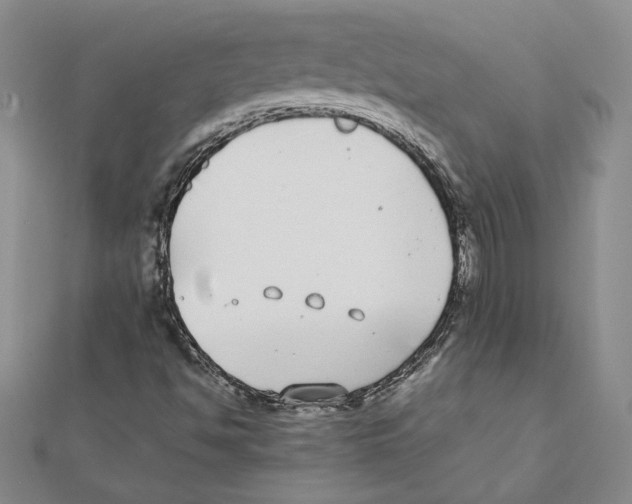 X0000111371494200908071203