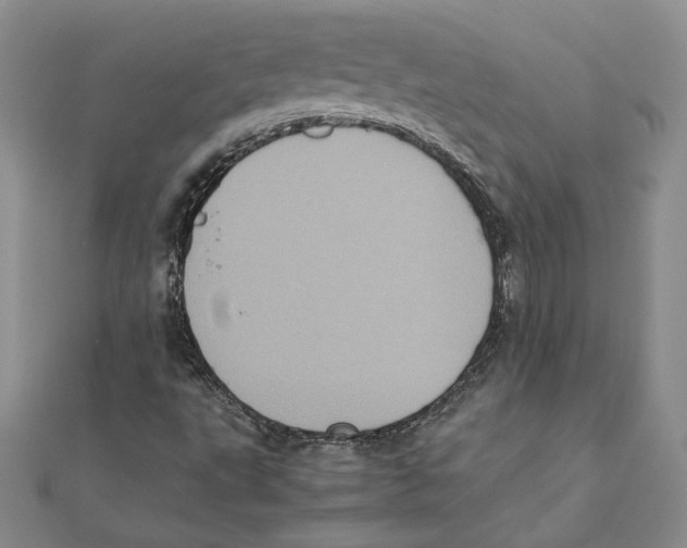 X0000111371495200908071203