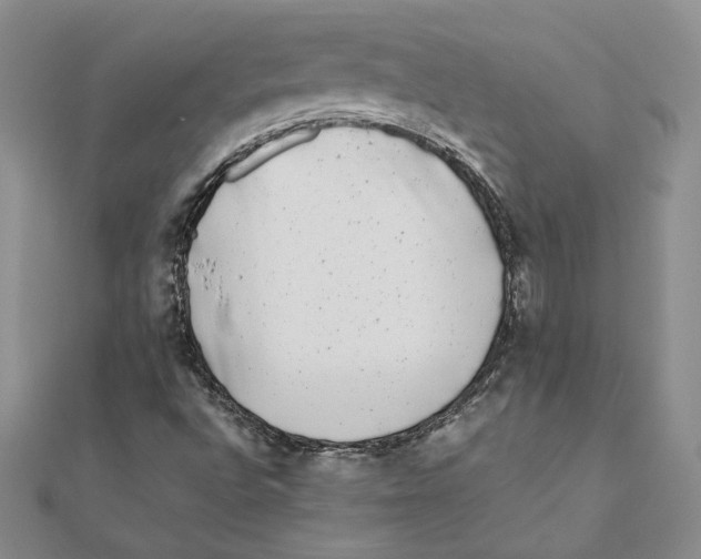 X0000111371496200908071203