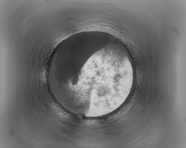 X0000111371497200908071203