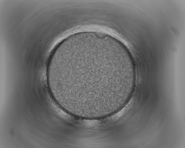 X0000111371498200908071203