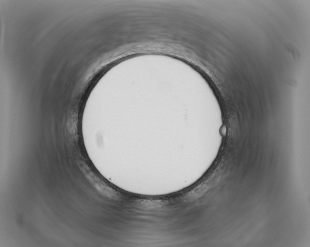 X0000111371499200908071203