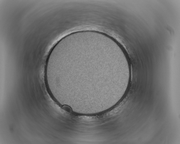 X0000111371500200908071203