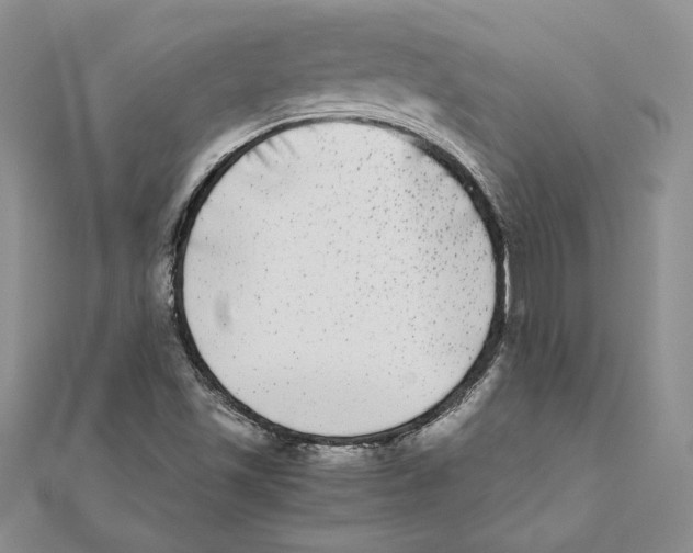 X0000111371501200908071203