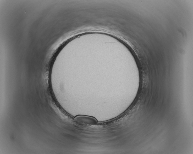 X0000111371503200908071203
