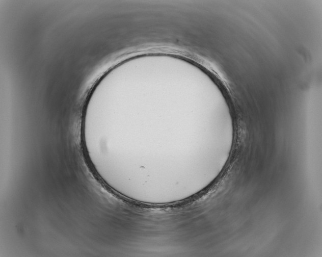 X0000111371504200908071203
