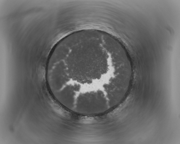 X0000111371505200908071203