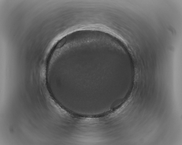 X0000111371506200908071203