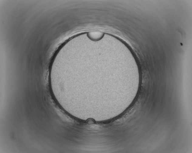 X0000111371507200908071203