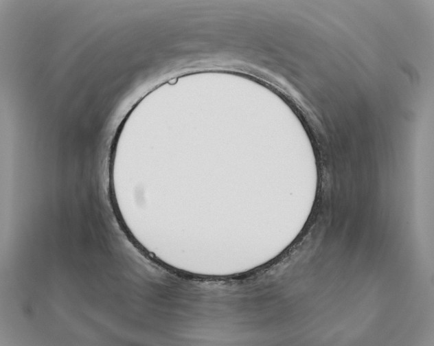 X0000111371512200908071203