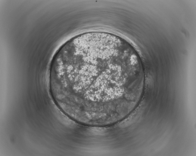 X0000111371514200908071203