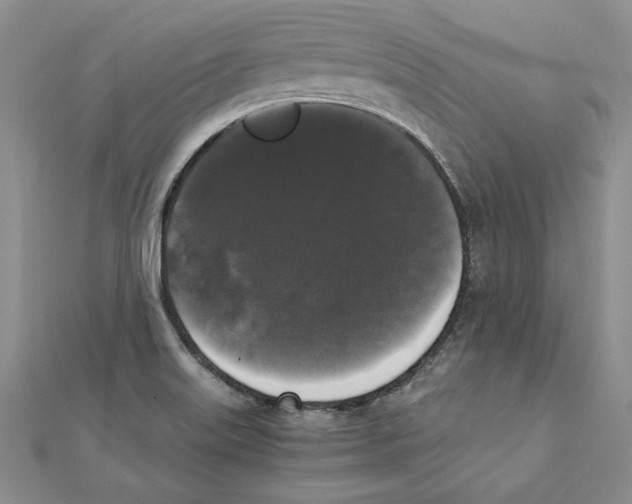 X0000111371515200908071203