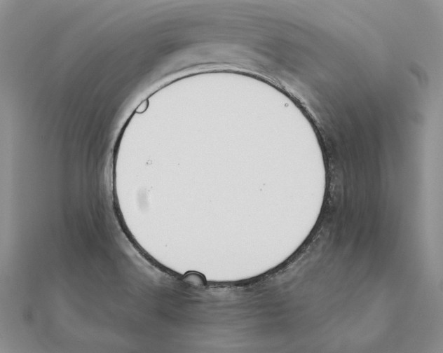 X0000111371516200908071203