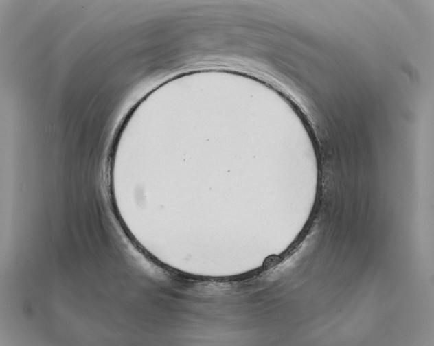 X0000111371517200908071203