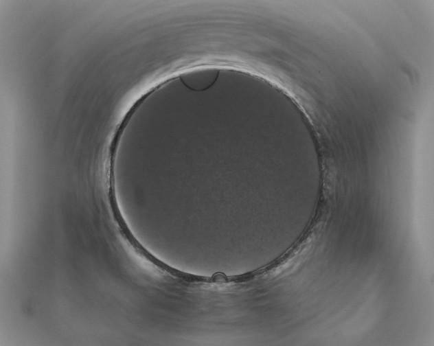 X0000111371519200908071203
