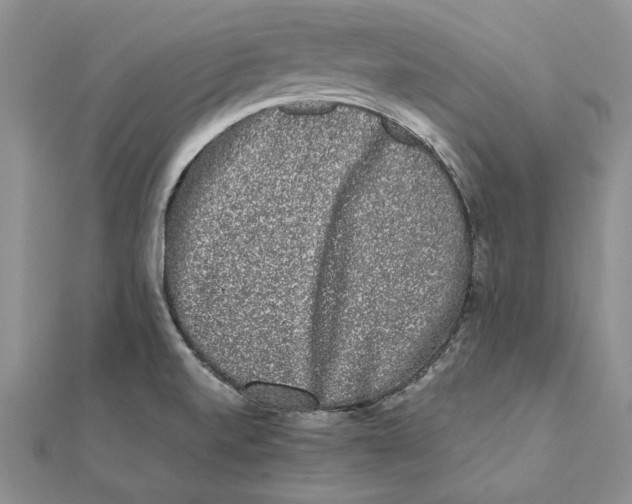 X0000111371520200908071203