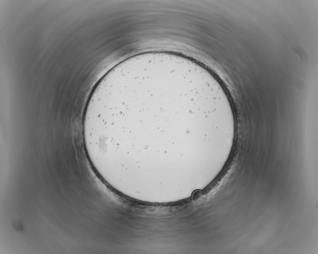 X0000111371521200908071203