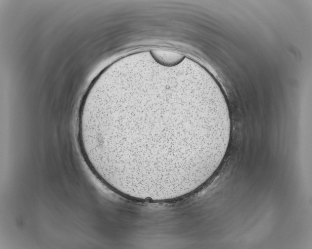 X0000111371523200908071203