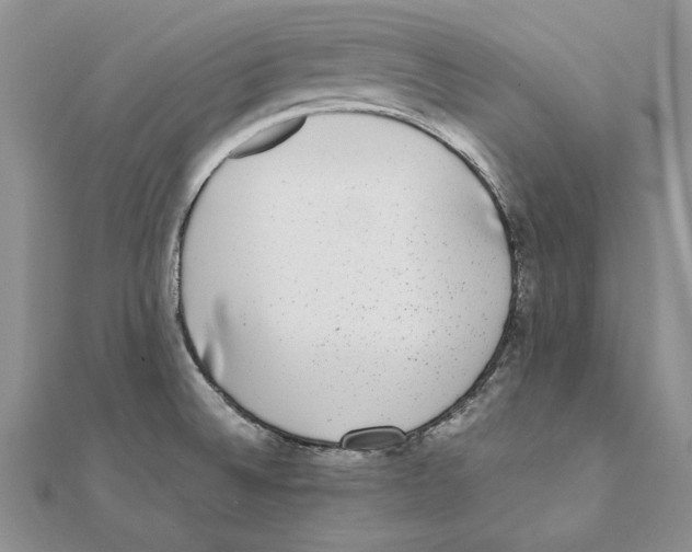 X0000111371524200908071203