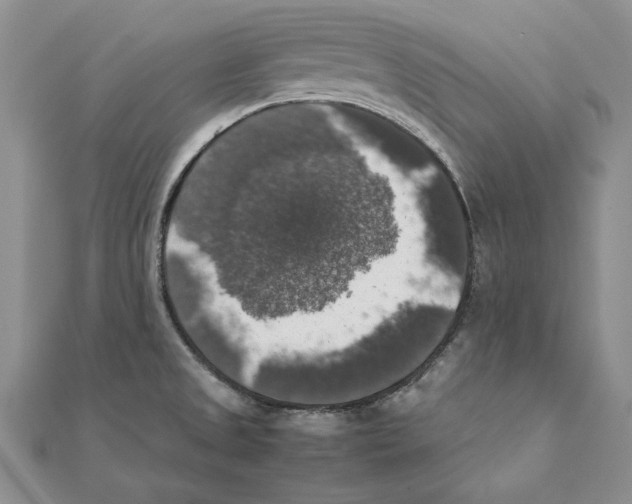 X0000111371525200908071203