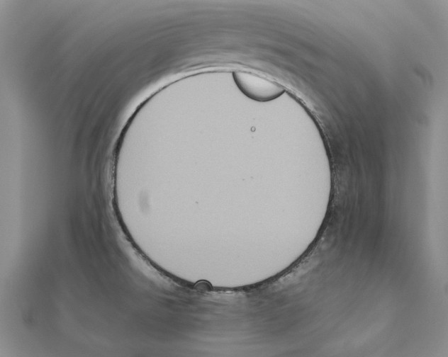 X0000111371526200908071203