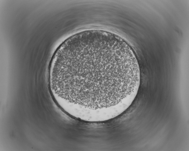 X0000111371527200908071203