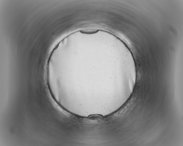 X0000111371528200908071203
