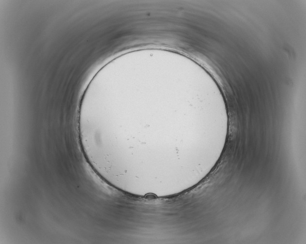 X0000111371532200908071203