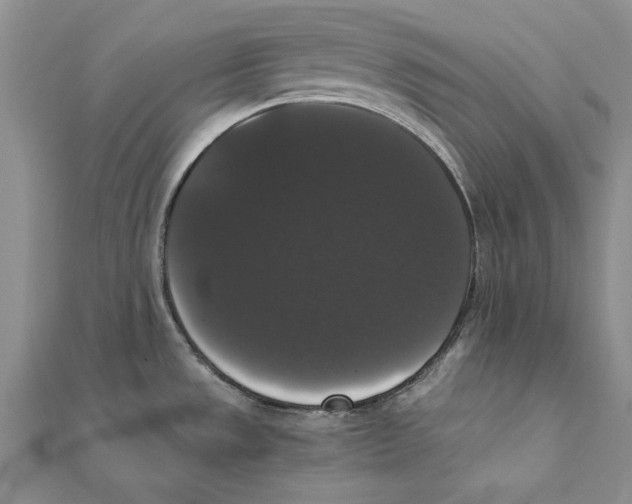 X0000111371533200908071203
